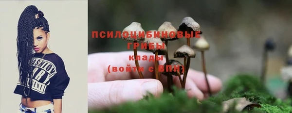 МДПВ Алзамай