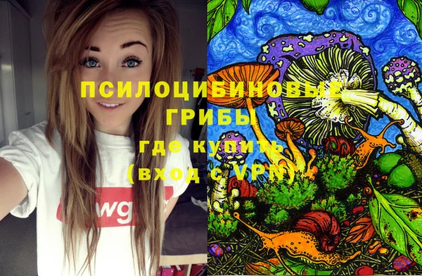 эйфоретик Алексеевка