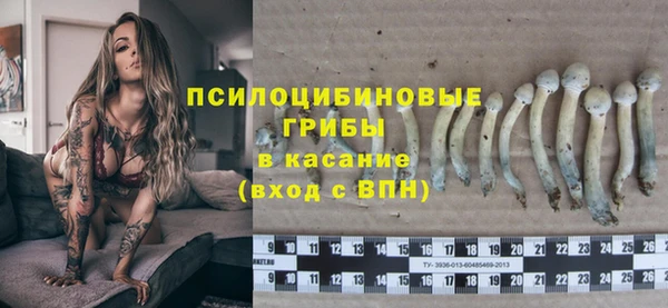 МДПВ Алзамай