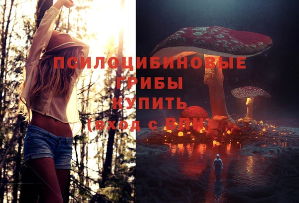 прущие крисы Алексин